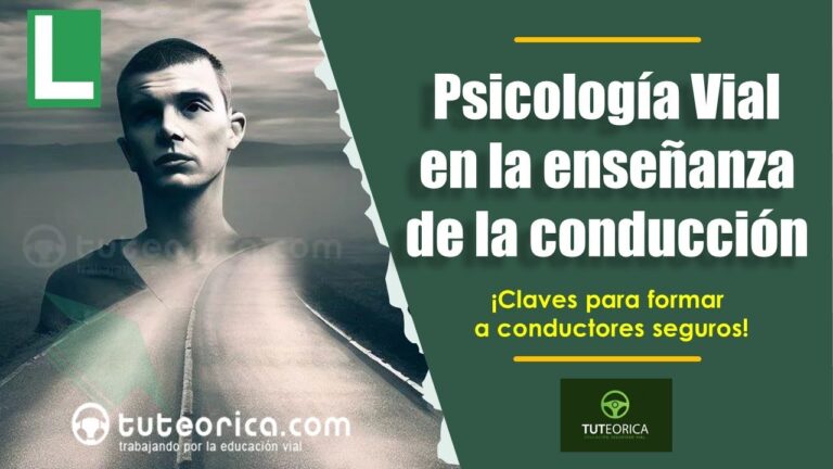 La influencia de las se&ntilde;ales de tr&aacute;fico en la formaci&oacute;n vial