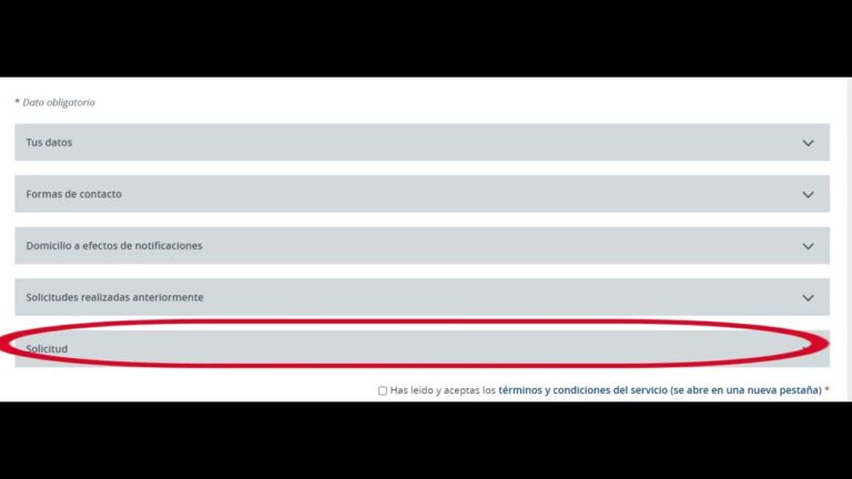Gu&iacute;a para la Obtenci&oacute;n del Carnet Internacional de Conducir