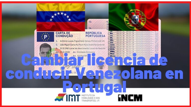 Importancia de los Permisos Internacionales de Conducci&oacute;n en Convenios Internacionales