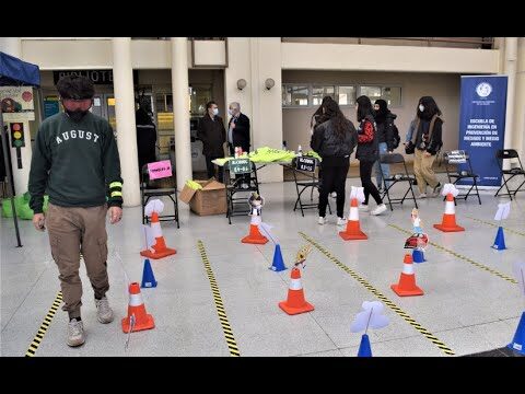 Conductores Responsables: Clave para la Seguridad Vial