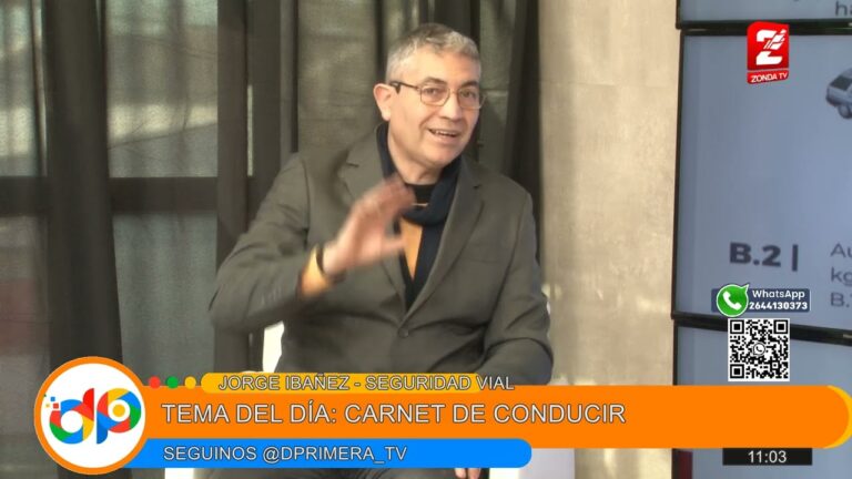 Tipos de Carnet de Conducir: Gu&iacute;a Completa