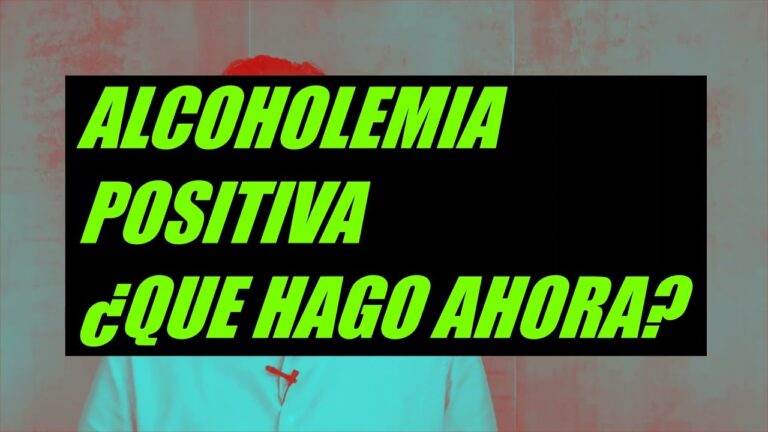 Consecuencias de la Embriaguez al Conducir y Últimas Noticias sobre el Carnet de Conducir