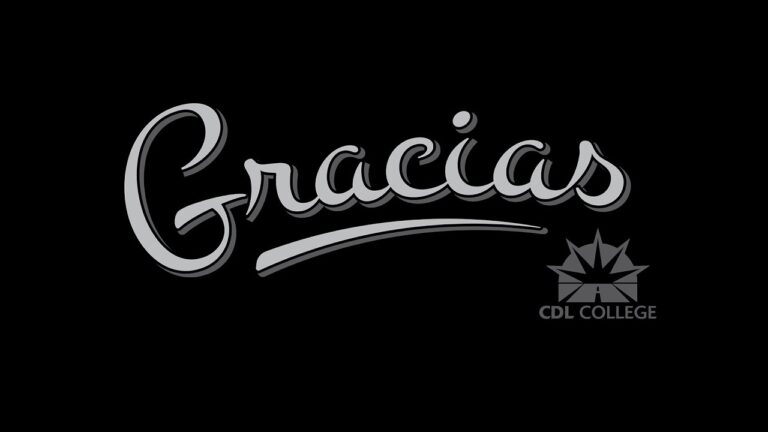 Beneficios de la Flexibilidad Horaria en el Curso de Conducir