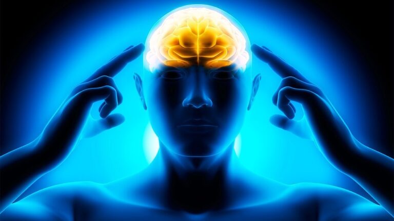 Entrenamiento Cognitivo para Potenciar la Concentraci&oacute;n en el Estudio del Carnet de Conducir