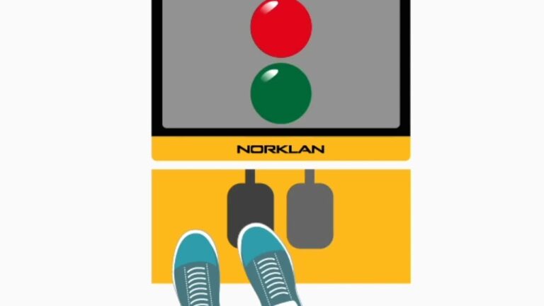 Garant&iacute;a de Seguridad Vial: El Papel del Examen Psicot&eacute;cnico en el Carn&eacute; de Conducir