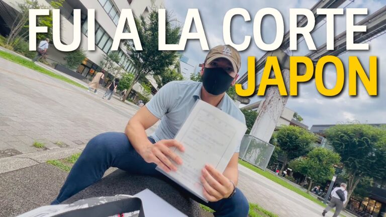 Consecuencias de Acumular Multas de Tr&aacute;fico