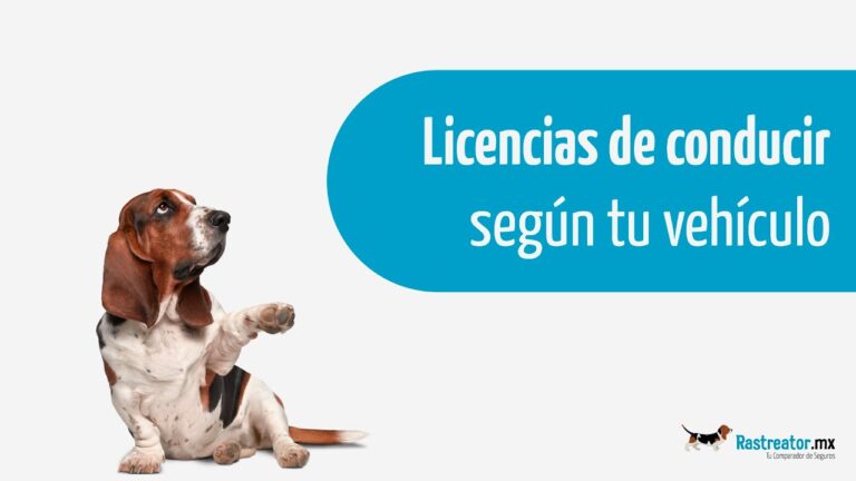 Tipos de Licencias de Manejo seg&uacute;n el Veh&iacute;culo