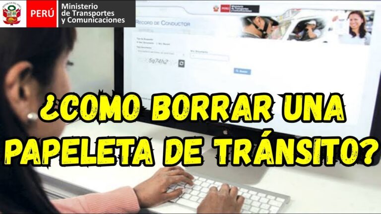 Gu&iacute;a para Regularizar Multas de Carn&eacute; de Conducir