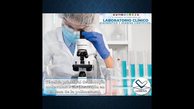 La Audici&oacute;n: Clave para la Conducci&oacute;n y Permisos Especiales