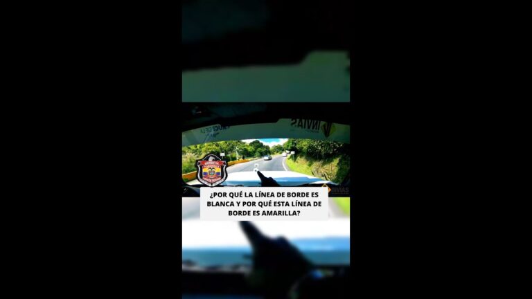 Desaf&iacute;os en la Identificaci&oacute;n de Se&ntilde;ales de Tr&aacute;fico en la Prueba de Conducir