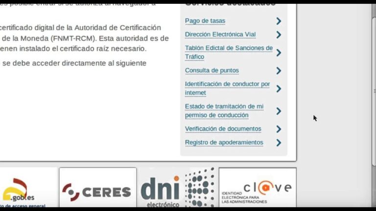 C&oacute;mo Pagar Multas de Tr&aacute;fico con el Carnet de Conducir