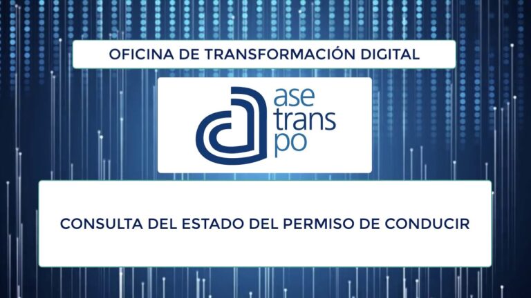 Guía de Consultas sobre el Carnet de Conducir en Trámites en Línea