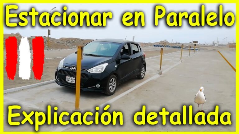 Gu&iacute;a Pr&aacute;ctica para el Manejo de Estacionamiento Paralelo en Alumnos