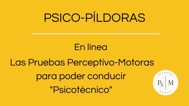 Pruebas de Aptitud Cognitiva para el Carnet de Conducir