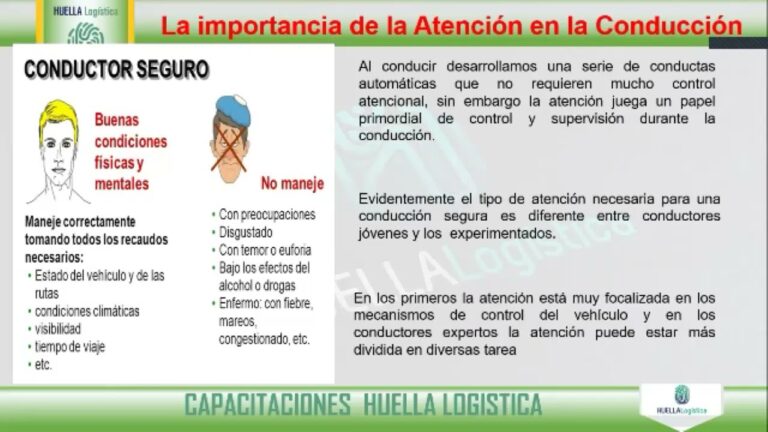 Estrategias para Prevenir Distracciones al Conducir con Carnet de Conducir